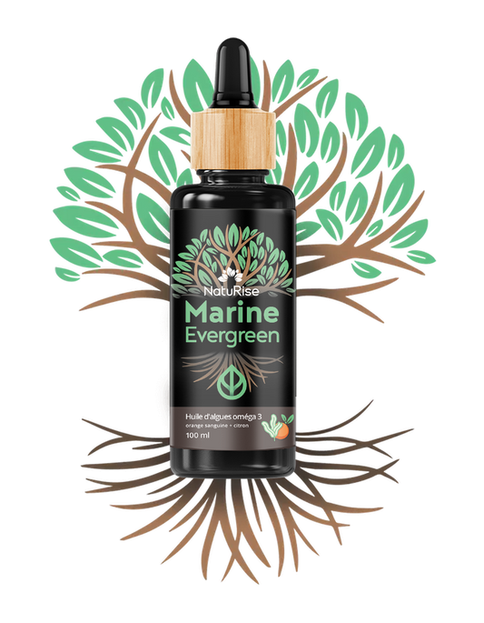 Huile d'algues oméga 3 (100ml)