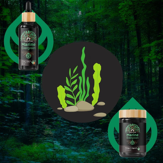 Coffret Expérience - Huile d'algues