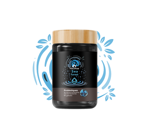 Probiotiques (90 gélules)